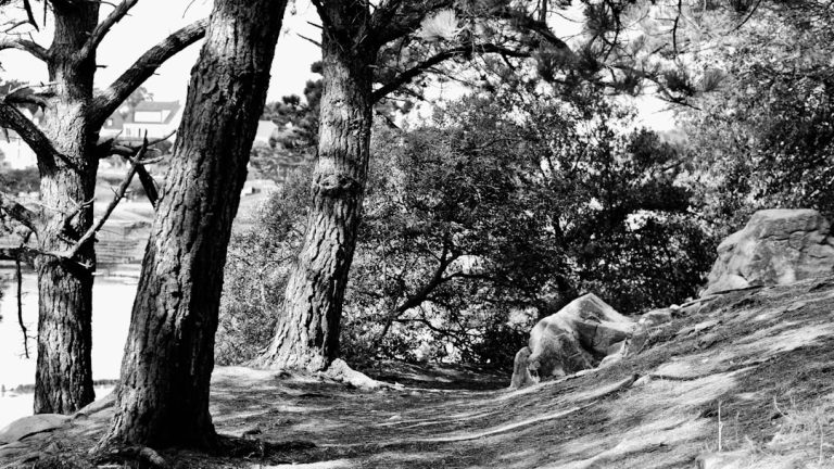 découvrez nos idées d'escapades inoubliables pour vous évader du quotidien. que ce soit pour un weekend romantique, une aventure en pleine nature ou une découverte culturelle, trouvez l'inspiration pour votre prochaine escapade.