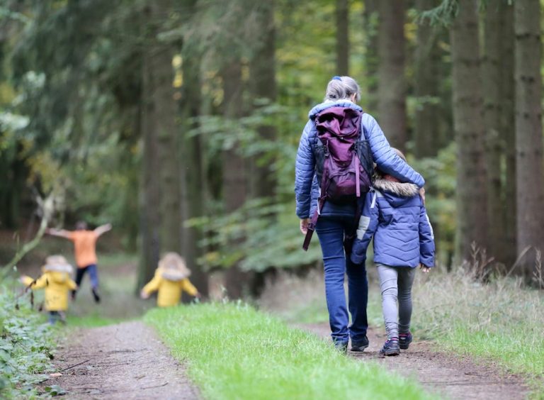 découvrez les meilleurs sentiers de randonnée à travers des paysages époustouflants. que vous soyez débutant ou randonneur expérimenté, trouvez des conseils, des itinéraires et des astuces pour profiter pleinement de votre expérience en pleine nature.