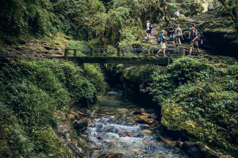 découvrez « short hike », une aventure relaxante où vous explorez une île pittoresque, grimpez, volez et trouvez des trésors dans une atmosphère apaisante. parfait pour les amateurs de jeux narratifs et d’exploration !