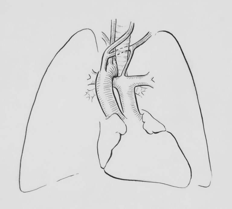 découvrez la respiration en cohérence cardiaque, une technique simple pour réduire le stress, améliorer la concentration et favoriser le bien-être au quotidien.