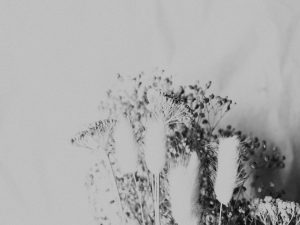 découvrez des stratégies efficaces pour résoudre les conflits de couple et renforcer votre relation grâce à une communication saine et un compromis mutuel.