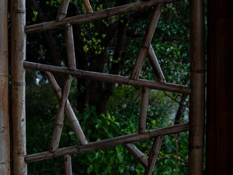 Idées déco éco-responsables pour embellir votre jardin