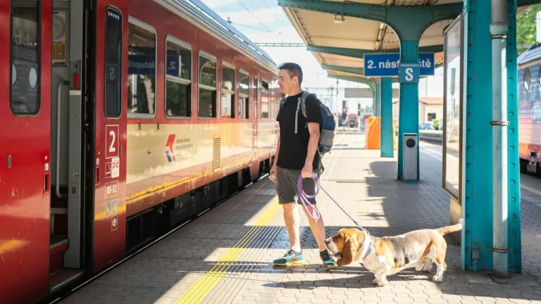 Voyager avec son animal en train en France: règles, tarifs et conseils